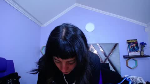 Kitten online show from January 17, 10:44 am
