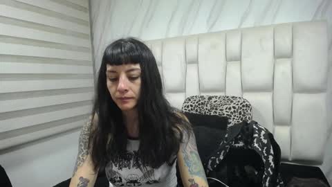 Kitten online show from December 2, 11:33 am