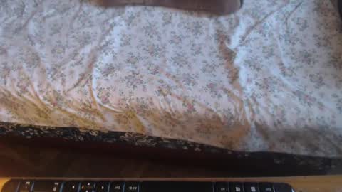 Lilly  online show from February 10, 12:08 pm