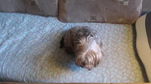 Snapshot of new_milf chatting on October 21, 10:41 am Lilly online show from October 21, 10:41 am