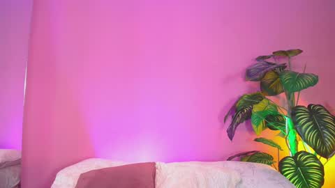 Nicol  online show from December 16, 2:38 pm