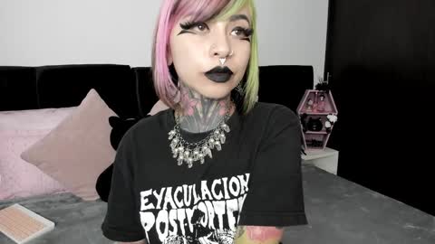 Snapshot of nikkiramone chatting on January 23, 11:48 am Nikki Ramone online show from January 23, 11:48 am