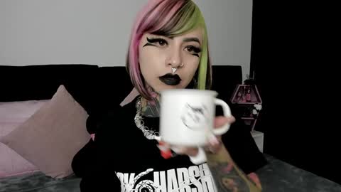 Snapshot of nikkiramone chatting on January 24, 11:59 am Nikki Ramone online show from January 24, 11:59 am