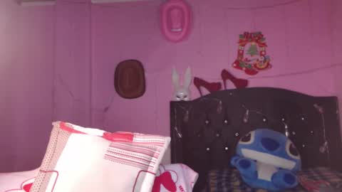 Snapshot of nikkirous_ chatting on February 7, 12:28 pm Nikkirous online show from February 7, 12:28 pm