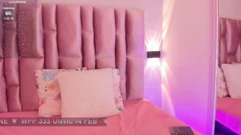 Snapshot of nikybrooks chatting on February 9, 2:07 pm Niky Brooks online show from February 9, 2:07 pm