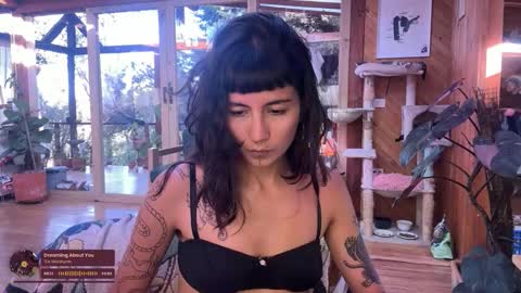 Nina.  online show from October 20, 9:29 pm