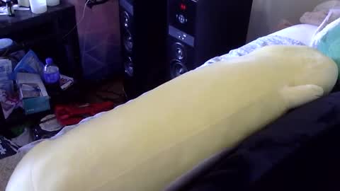 NoNoSi online show from February 8, 7:38 pm