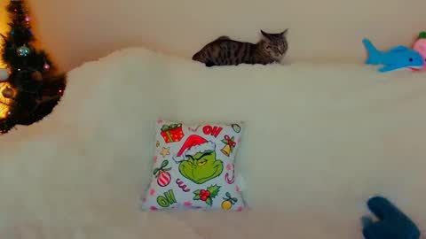 Snapshot of not_nakedcat chatting on December 22, 11:41 pm hi glad to chat online show from December 22, 11:41 pm
