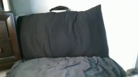 Nova online show from April 4, 4:06 pm