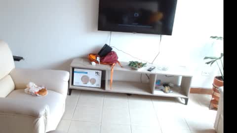 Snapshot of novaperotti chatting on March 12, 6:53 pm novaperotti online show from March 12, 6:53 pm