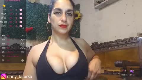 Snapshot of odalisca_bellydancer chatting on December 31, 5:11 am Daniela Dany online show from December 31, 5:11 am