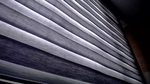 Palmer online show from December 9, 1:24 pm