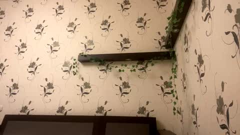 Snapshot of pantease_ chatting on October 24, 9:22 pm Kate online show from October 24, 9:22 pm