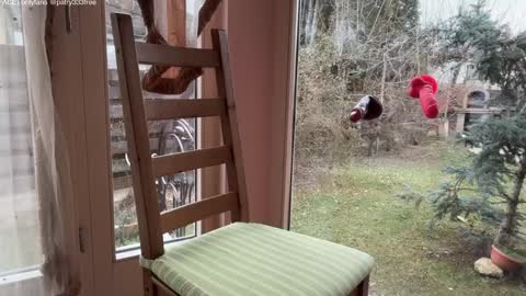 Andreea online show from March 19, 5:56 am