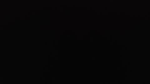 Snapshot of perlabigass21 chatting on October 31, 8:40 am lecia online show from October 31, 8:40 am