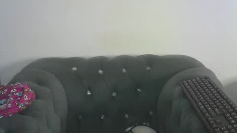 petitpearl online show from February 19, 2:23 am