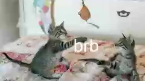 Kitty online show from June 25, 1:38 am