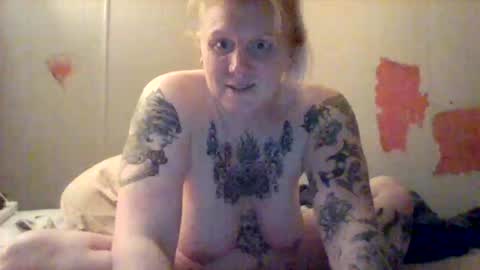 Pinkelephants online show from November 2, 11:57 am