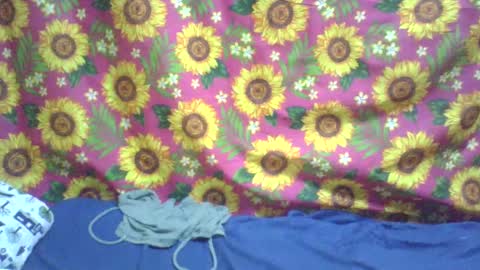 Hi  its me shine  online show from February 3, 10:47 am