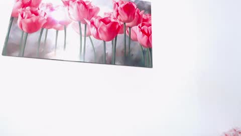 pinky_f00x online show from April 11, 8:01 pm