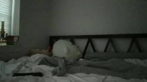 pixiemodelinc online show from December 19, 9:16 pm