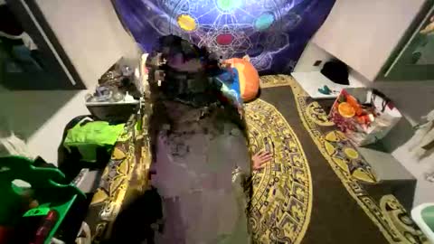 pnw_baby online show from November 20, 9:21 am