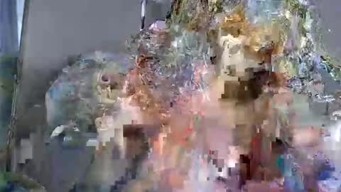 pretty_curvy99 online show from March 8, 12:20 pm