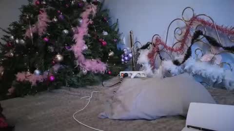 PurpleRainn69  Dina online show from December 15, 2:37 pm