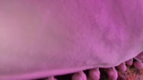 Snapshot of pvssi_ chatting on February 22, 5:34 am Sophy online show from February 22, 5:34 am