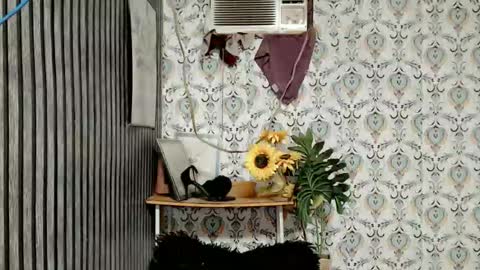 Snapshot of queen_elicktra chatting on October 11, 11:51 pm JOY online show from October 11, 11:51 pm