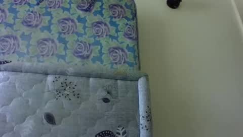 Snapshot of queen_tess1 chatting on March 1, 10:24 am queen_tess1 online show from March 1, 10:24 am