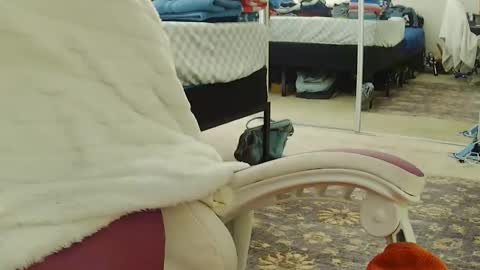 Red online show from November 14, 5:35 pm