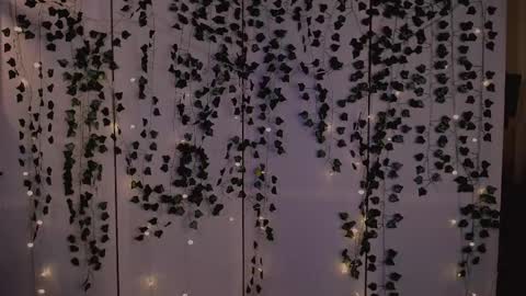 risha_laass online show from November 14, 8:42 pm