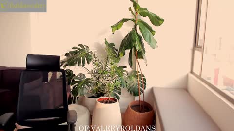 Valery Roldans online show from December 13, 9:51 pm