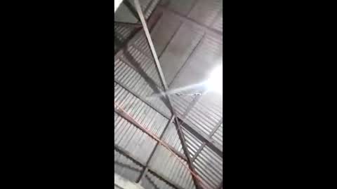 rose_marie2025 online show from March 10, 7:18 pm