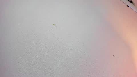 rosie_jhons online show from February 2, 3:21 am