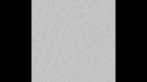 Leslie Beltrn online show from January 11, 4:28 am