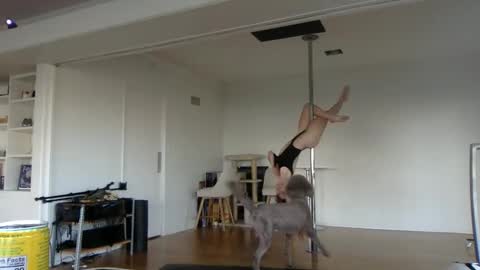 sadgirldies online show from February 20, 12:52 am