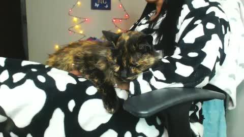 Karina online show from December 20, 3:14 am