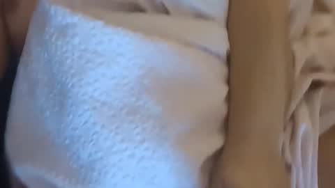 sailgg online show from February 14, 7:21 am