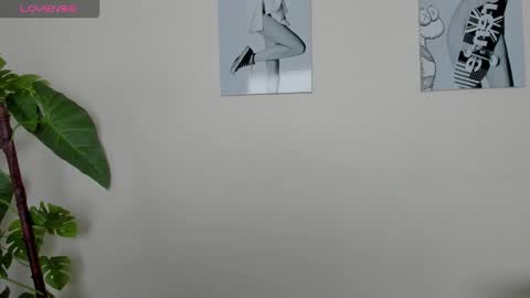 Samay online show from November 23, 2:08 pm