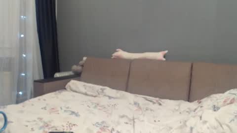 Snapshot of sandra_smith3007 chatting on September 18, 8:51 pm sandra_smith3007 online show from September 18, 8:51 pm