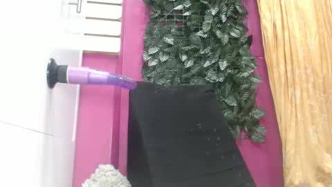 Snapshot of sarayx chatting on February 24, 4:15 pm mery online show from February 24, 4:15 pm