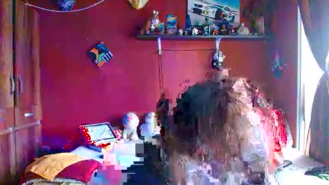 S A S H A R O S E online show from April 1, 1:41 pm