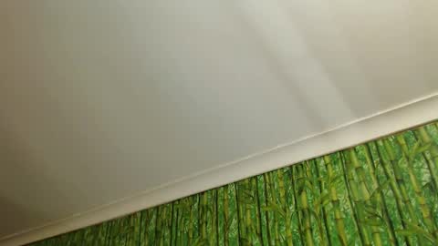  Sasha  online show from October 4, 10:54 am