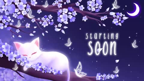 Sassy Sami Kittyn online show from November 18, 6:03 am