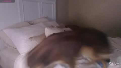 Sel online show from October 7, 1:26 pm