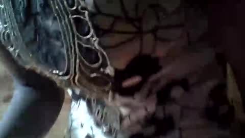 sexcarlly online show from September 17, 6:22 am