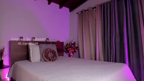 Snapshot of sexicanela99 chatting on February 19, 1:17 pm ... Camila ... online show from February 19, 1:17 pm