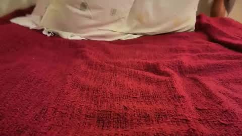 Snapshot of sexiest_labia_ever chatting on October 27, 9:27 am Sexiest labia evers online show from October 27, 9:27 am